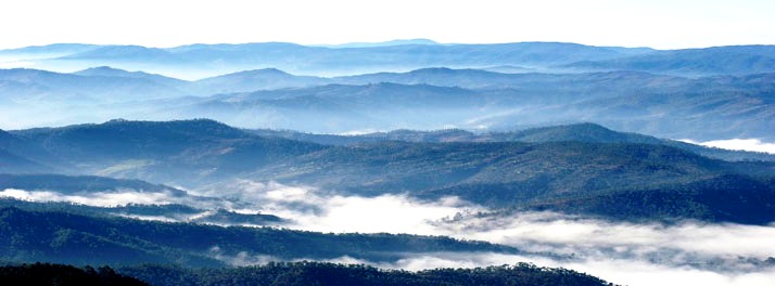 2066/Tree of Life Grand Oak Manor - Binsar 12.jpg